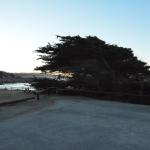 Cambria_0578 (November 02, 2013)